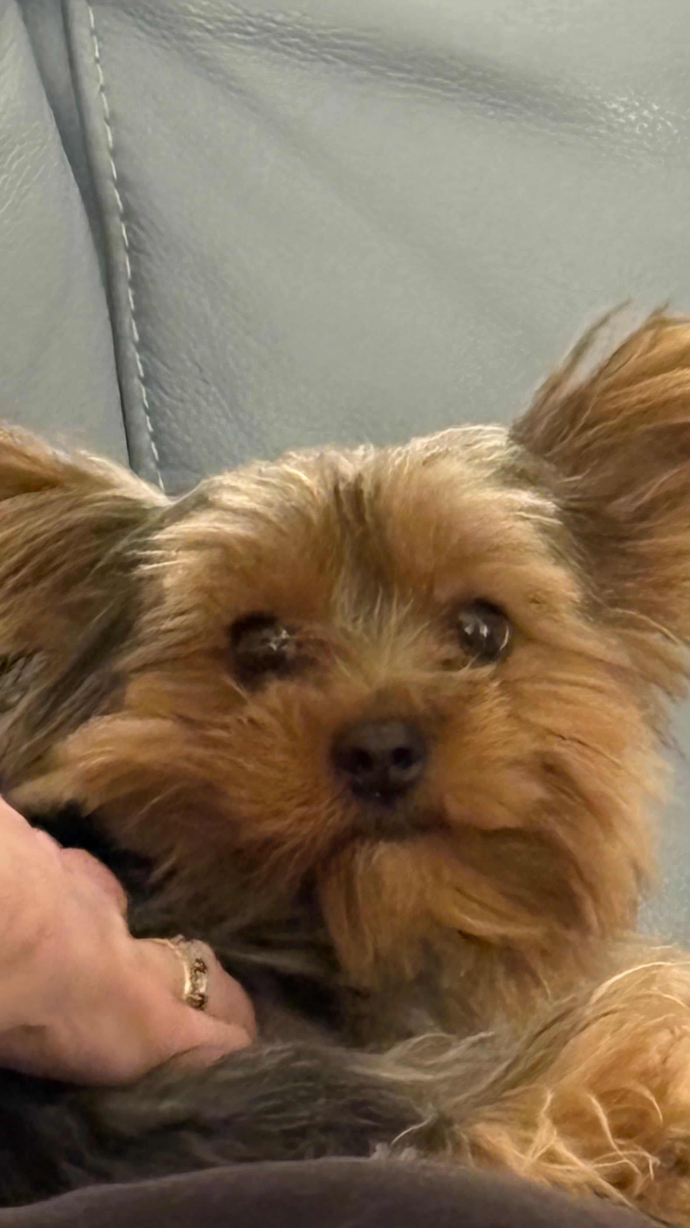 12-Week Strength & Hypertrophy Program